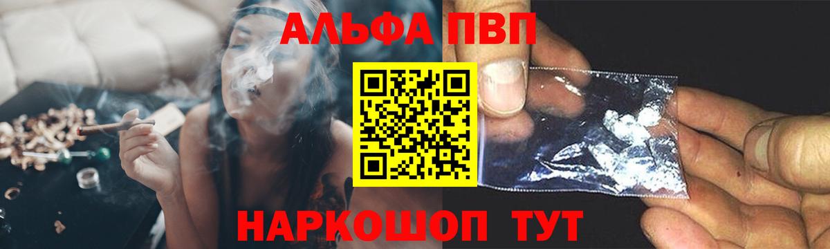 Alfa_PVP СК КРИС Прокопьевск