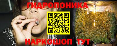 PSILOCYBIN Будённовск